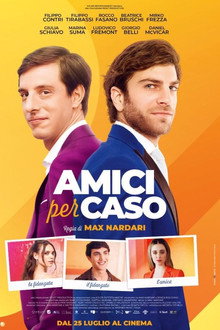 Amici per caso