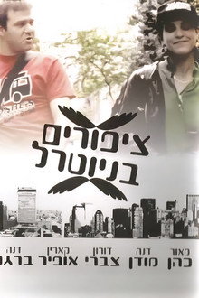 ציפורים בניוטרל