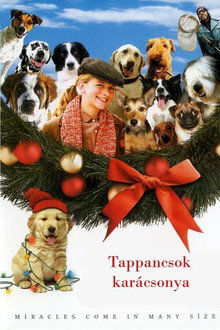 Tappancsok karácsonya