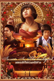 แมลงรักในสวนหลังบ้าน