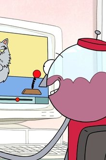Cat Videos
