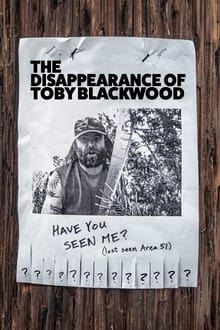 The Disappearance of Toby Blackwood movie poster