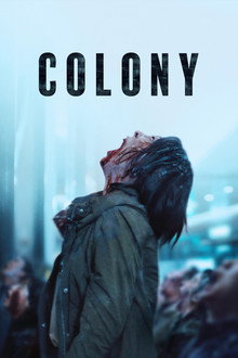 Colony