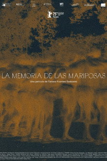 La memoria de las mariposas