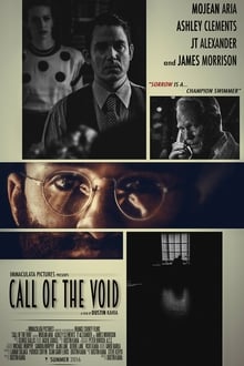 Poster do filme Call of the Void