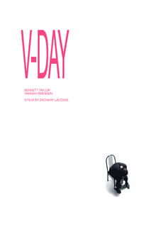 Poster do filme V-DAY