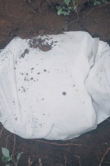 ഭൂമി