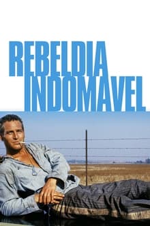 Poster do filme Rebeldia Indomável