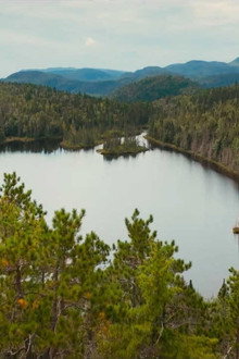 Notre vraie nature
