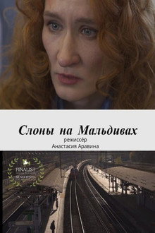 Слоны на Мальдивах