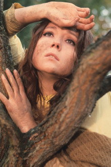 A Midsummer Night's Dream
