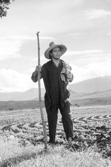 Nazarín