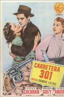 Carretera 301