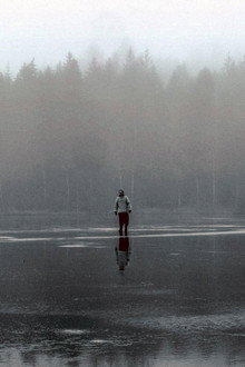 La vie dans les bois - D'après 