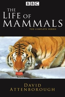 The Life of Mammals tv show poster