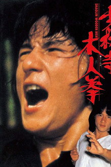 少林寺木人拳