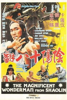 Magnificent Wonderman