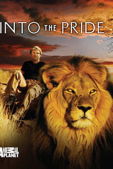 Into The Pride