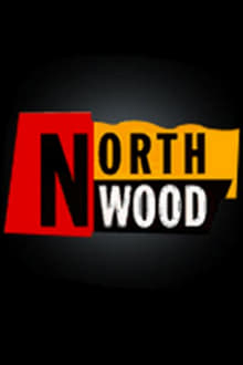 Poster da série Northwood