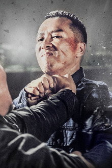 Kung Fu Jungle
