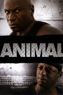 Animal movie poster