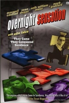 Overnight Sensation movie poster