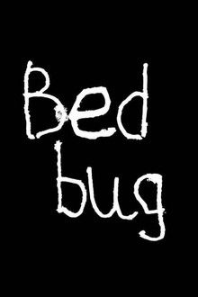 Bedbug