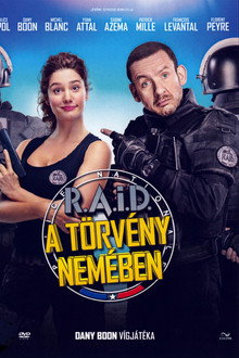 RAID - A törvény nemében