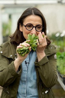 La vérité si je menthe