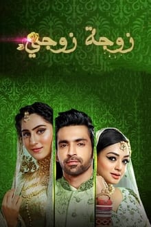 Poster da série Bahu Begum