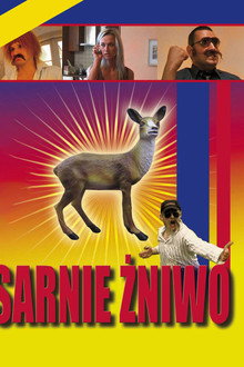 Sarnie żniwo, czyli pokusa statuetkowego szlaku