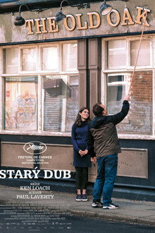 Starý dub