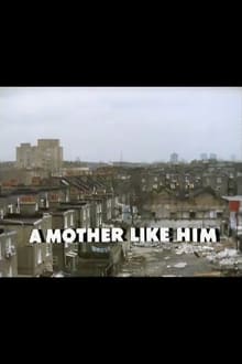 Poster do filme A Mother Like Him