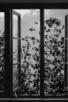 24 Frames