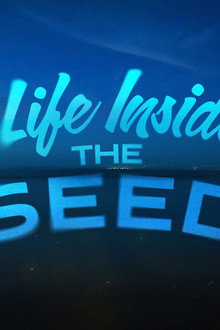 Life Inside the Seed