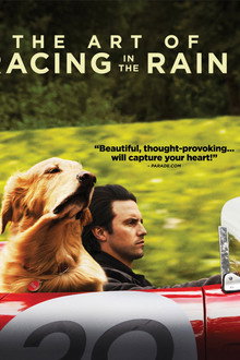 The Art of Racing in the Rain