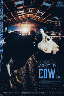 COW／牛