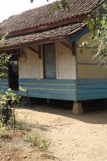 Yang Terungkap