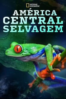Poster do filme América Central Selvagem