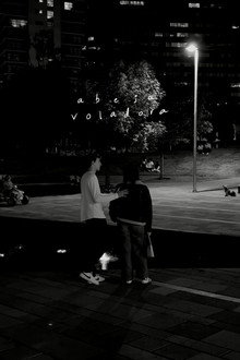 Flying Bee