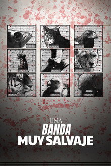 The Wild Wild Bunch