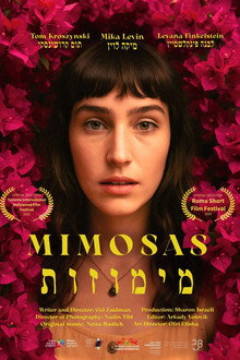 מימוזות