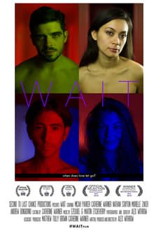 Poster do filme Wait