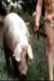 The Dark Side of Porn: The Real Animal Farm