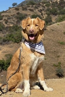 Photo of Indy