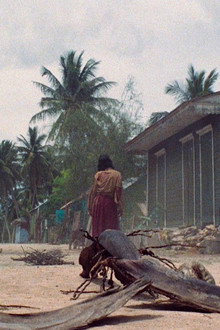 Zombie Flesh Eaters
