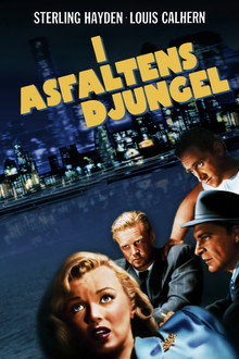 I asfaltens djungel