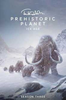 Ice Age