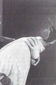 To Brighton with Gladys