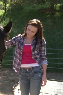 Das-Geheimnis-des-Ponys